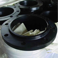 Titanium Flanges Lapped joint Flanges manufacturers in india 