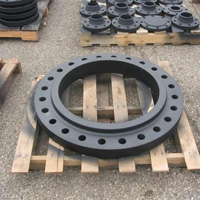 Titanium Flanges Slip on Flanges manufacturers in india 