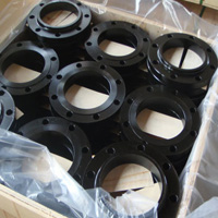 Titanium Socket Weld Flanges manufacturers in india 